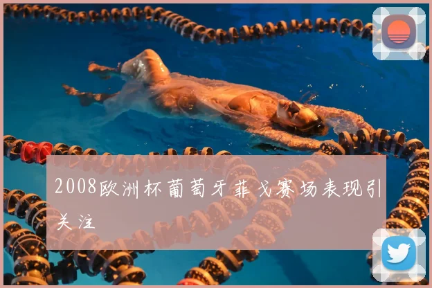 2008欧洲杯葡萄牙菲戈赛场表现引关注