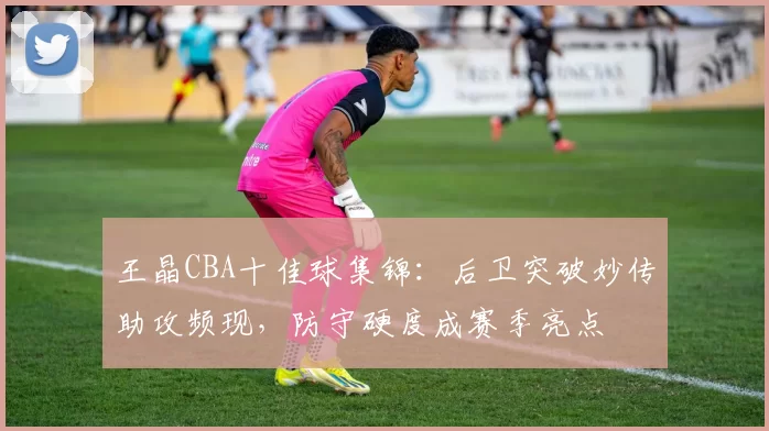 王晶CBA十佳球集锦:后卫突破妙传助攻频现,防守硬度成赛季亮点